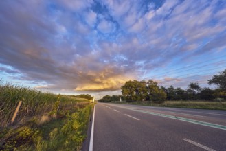 Corn field, meadow, trees, blue sky, cumulus clouds, stratocumulus clouds, evening light, federal