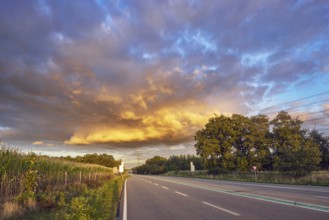 Corn field, meadow, trees, cumulus clouds, stratocumulus clouds, evening light, Bundesstraße B54,