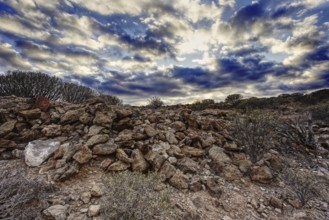 Rocky volcanic landscape under a dramatic and cloudy sky, Los Cristianos Tenerife