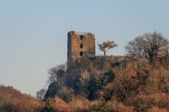 Neideck ruins in the evening light, Schlossberg. Wiesenttal, Upper Franconia, Bavaria, Germany