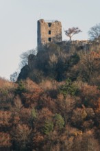 Neideck ruins in the evening light, Schlossberg. Wiesenttal, Upper Franconia, Bavaria, Germany
