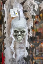 Skull as decoration for Halloween, Erlangen, Middle Franconia, Bavaria, Germany