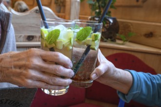 Toasting health with cocktails, Bavaria, Germany