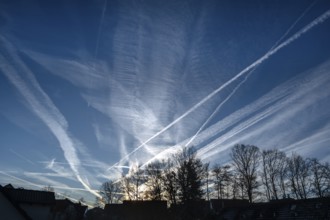 Morning sky with contrails, tree and house silhouettes below, Eckental, Middle Franconia, Bavaria,