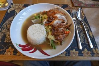 Duck breast with rice and vegetables in a Thai restaurant, Franconia, Bavaria, Germany