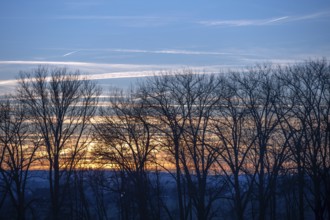 Red evening sky, bare trees in front, Forth, Middle Franconia, Bavaria, Germany