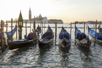 Gondolas in front of the Piazzetta, in the background San Giorgio Maggiore, San Marco, Venice,