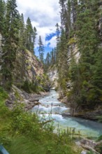 Turquoise water flowing through johnston canyon, a scenic gorge in banff national park, alberta, is