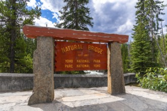 Wooden sign marking the natural bridge in yoho national park, surrounded by lush evergreens and