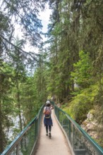 Female tourist walking on johnston canyon boardwalk enjoying breathtaking views of the bow river