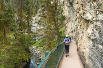 Female hiker walking the johnston canyon catwalk trail, enjoying the scenic beauty of the canyon,