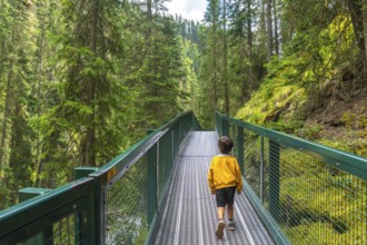 Young boy enjoying a hike, walking on a metal bridge surrounded by lush green forest in johnston