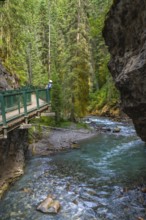 Turquoise water flows through johnston canyon in banff national park as a tourist walks on the