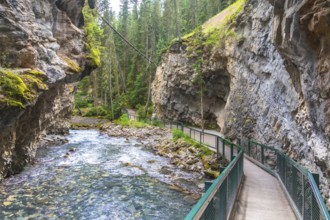 The scenic johnston canyon catwalk follows the turquoise bow river through a stunning limestone