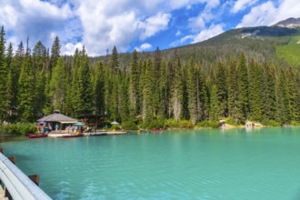 Emerald lake lodge and surrounding pine trees reflecting in the turquoise waters of emerald lake,