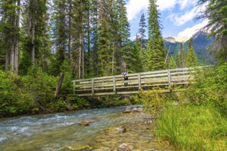 Tourist is standing on a wooden bridge over a pristine stream, admiring the natural beauty of