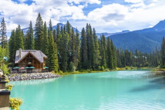 Emerald lake lodge, nestled among lush pine trees, reflects beautifully on the vibrant turquoise