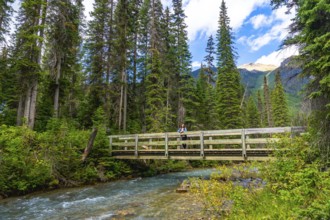 Tourist is standing on a wooden bridge over a clear stream, surrounded by lush green forest and