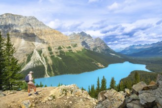 Hiker standing on a rocky outcrop, absorbing the breathtaking view of peyto lake's vibrant
