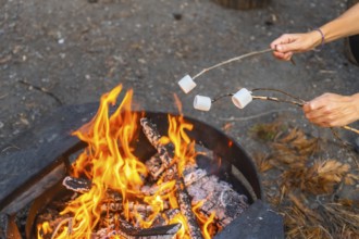 Tourists are roasting marshmallows over a campfire in banff national park, alberta, enjoying a