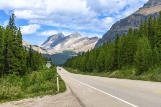 Cars driving on a scenic road leading into the majestic canadian rockies, surrounded by lush green