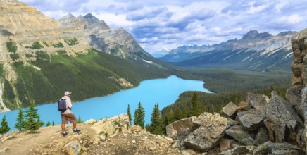 Tourist with backpack is enjoying the breathtaking panoramic view of the turquoise peyto lake and