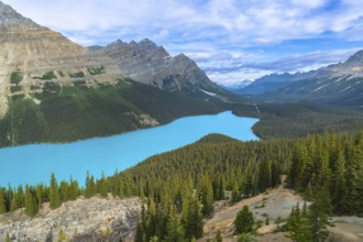Peyto lake, nestled in the canadian rockies of banff national park, features stunning turquoise