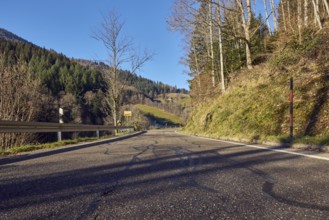 Landscape photography, hills, hilly landscape, road, coniferous forest, trees, meadow, guardrail,