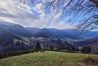 Simonswäldertal Dreitälerblick, landscape photography, landscape, hills, coniferous forest,