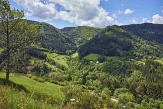 Simonswäldertal drFrühjahrslaub, eitälerblick, landscape photography, hills, hilly landscape,
