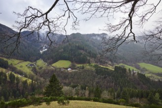 Simonswäldertal, Dreitälerblick, Wildgutach. Zweribach. Obersimonswald., hills, trees, coniferous