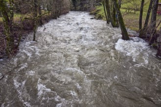 Wilde Gutach river, unpaved bank, trees, meadow, diffuse light, lively wavy water surface, diffuse
