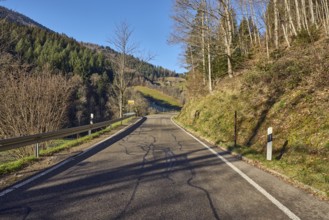 Landscape photography, hills, hilly landscape, road, coniferous forest, trees, meadow, guardrail,