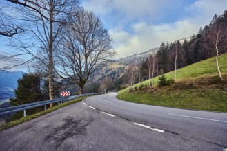 Simonswäldertal Dreitälerblick, hilly landscape, hill, road, center line, S-curve, coniferous