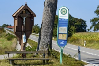 MVV bus stop at traditional crossroads, wayside cross, bench and oak (Quercus) between fields,