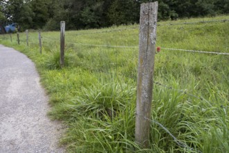 Elektrozaun an einer Weide, Ort Tegernsee, Upper Bavaria, Bavaria, Germany
