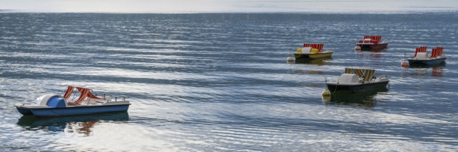 Colored paddleboats attached to buoys, Tegernsee, Upper Bavaria, Bavaria, Germany