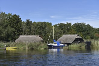 Sailing boat on Prerower Strom, Prerow, Darß, Mecklenburg-Western Pomerania, Germany