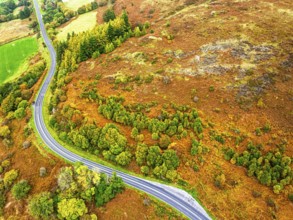 Autumn colours of Farms over River Wye and Road A470 from a drone, Llanidloes, Powys,