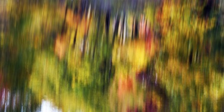 Trees reflected in water surface, riverbank, river landscape, glowing autumn leaves, Indian summer,