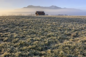Hut, wooden hut, morning light, sunny, ripe, hoarfrost, cold, winter, fog, mountains, Loisach-Lake