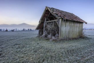 Hut, wooden hut, dilapidated, frost, cold, winter, fog, mountains, Loisach-Lake Kochel-Moore,