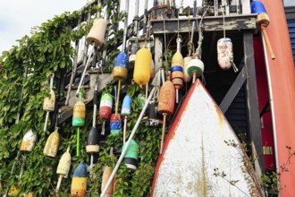 Colorful lobster buoys, boat, decoration, facade detail, seafood restaurant, lobster specialty,