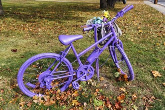 Purple painted bicycle with flowers, decoration, autumn leaves in a meadow, Ogunquit, Maine, New