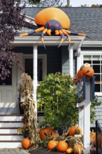 Inflatable orange spider on canopy, decoration, pumpkins in front garden, Halloween, Ogunquit,