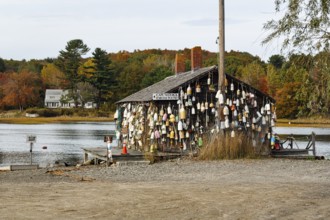 Numerous lobster buoys, decoration at former fishing lodge, seafood restaurant, lobster specialty,