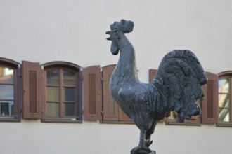 Göckelesbrunnen by Karl Ulrich Nuss 2013 with rooster figure, rooster, modern art, bronze