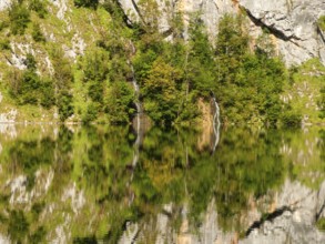 Mountain forest, small waterfall and rock walls are reflected in Obersee, Berchtesgaden National