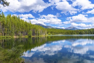 Calm water reflects the blue sky and white clouds over herbert lake with coniferous trees and
