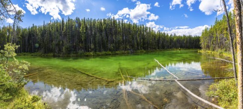 Panoramic view of the crystal clear waters of herbert lake reflecting the sky and surrounding